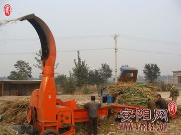 搶抓農時促轉化，市畜牧局多措并舉推廣秸稈青貯飼料助力畜牧漁業降本增效